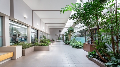 Matrox office corridor filled with plants